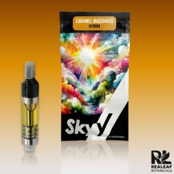 Photograph of product: Caramel Macchiato Cartridge 2g