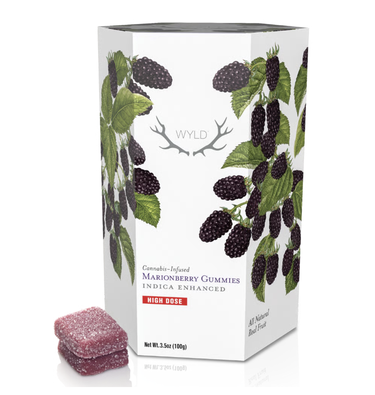 Photograph of product: Marionberry | 20 PC TH-oui