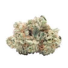 Photograph of product: Freight Train Canna Plan Z Flower - 14g