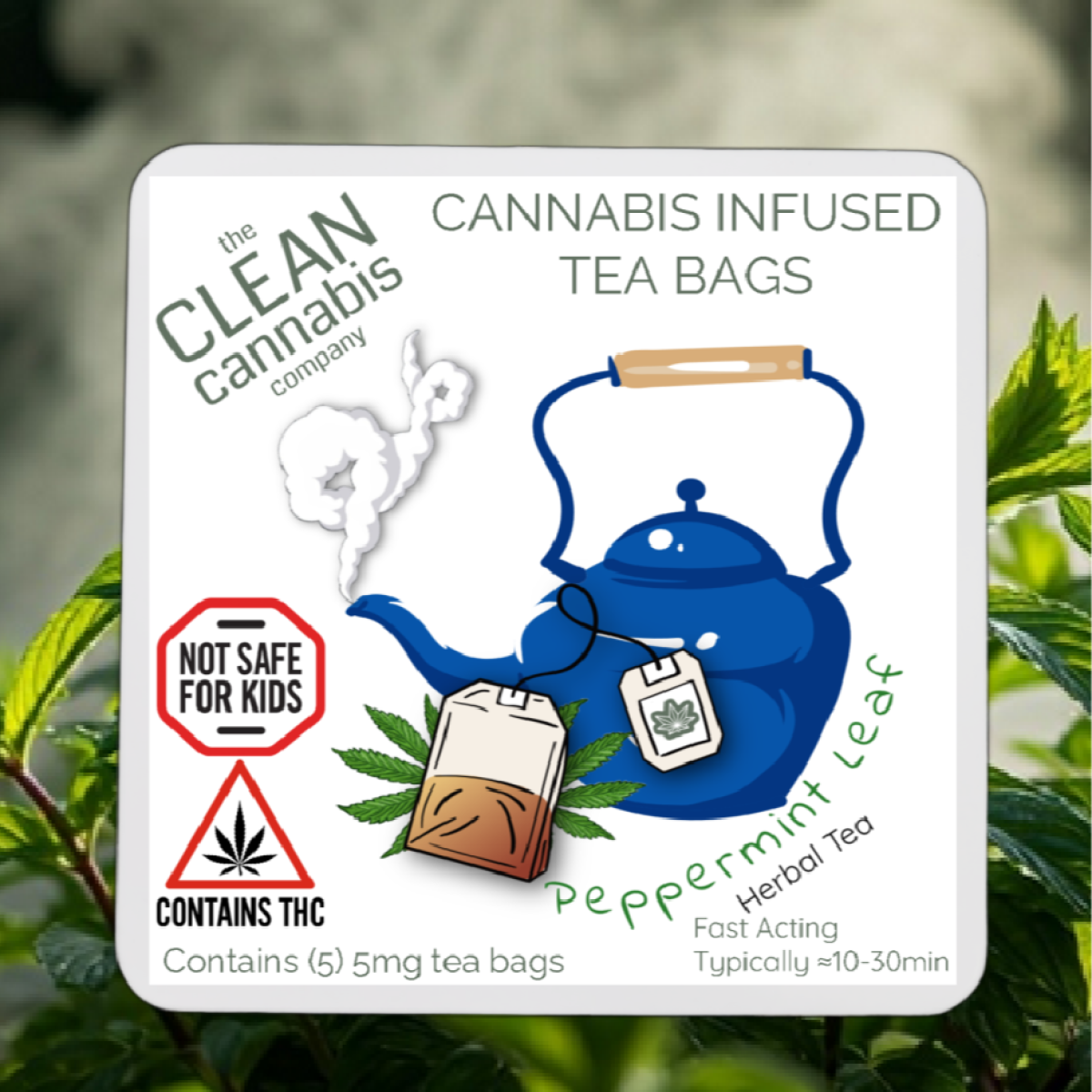Photograph of product: 25mg Tea Bags: Peppermint