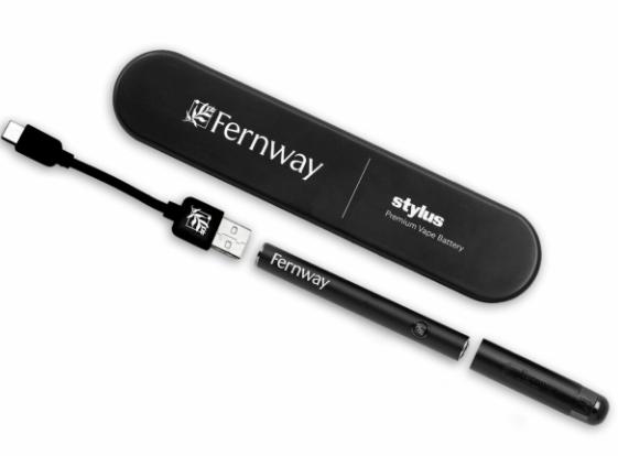 Photograph of product: Fernway - Stylus Battery