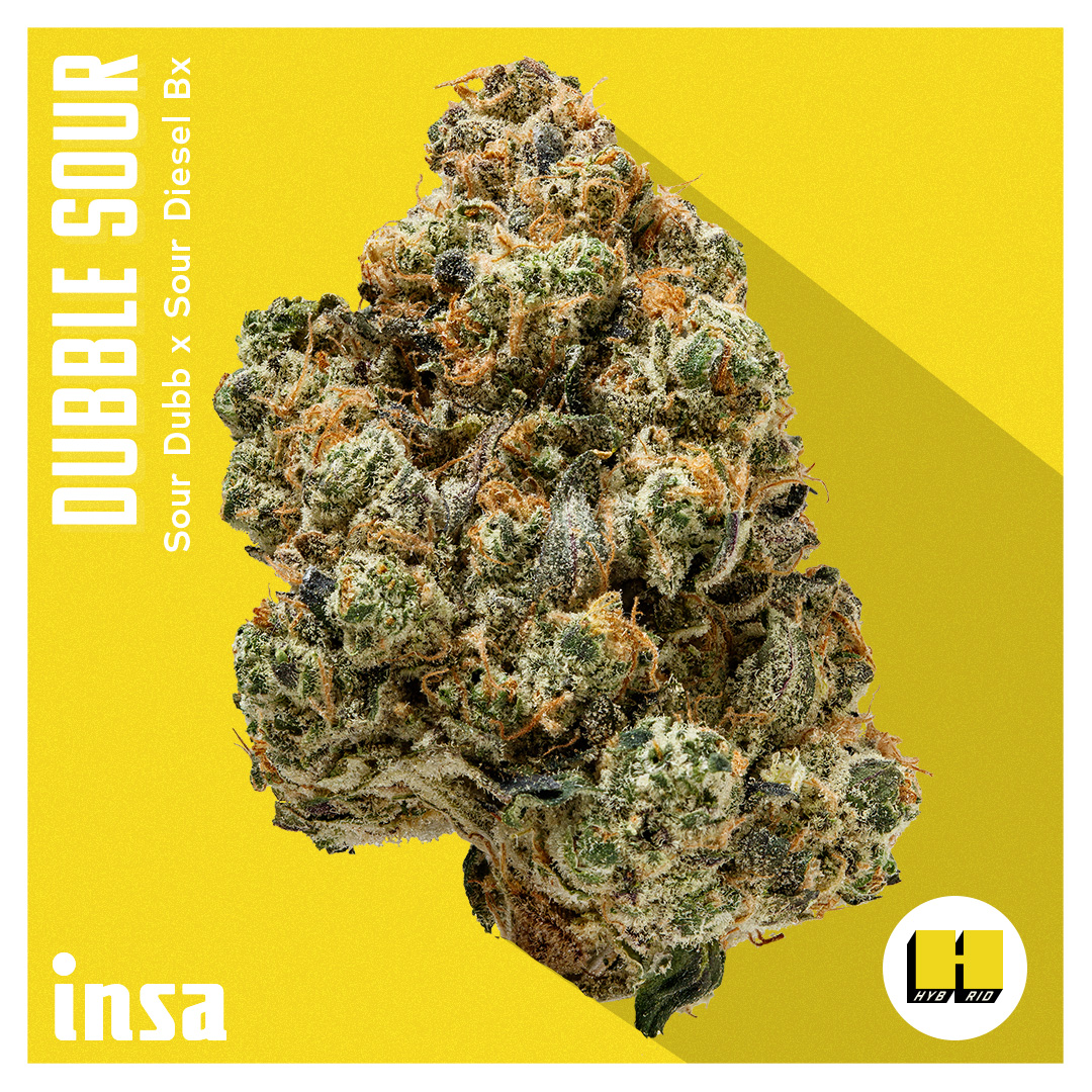 Photograph of product: Flower - Dubble Sour - 3.5g