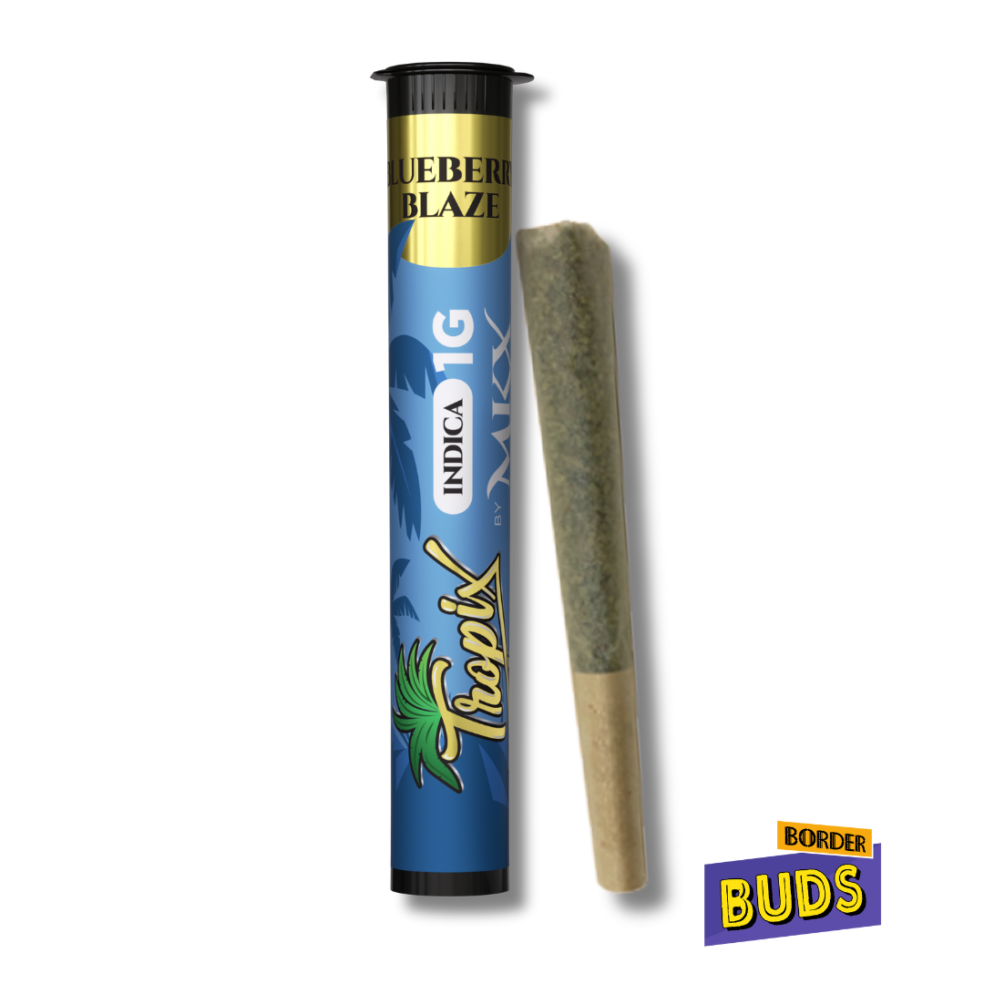 Photograph of product: Blueberry Blaze | MKX x Tropix | 1g | Liquid Diamond Infused Pre-Roll