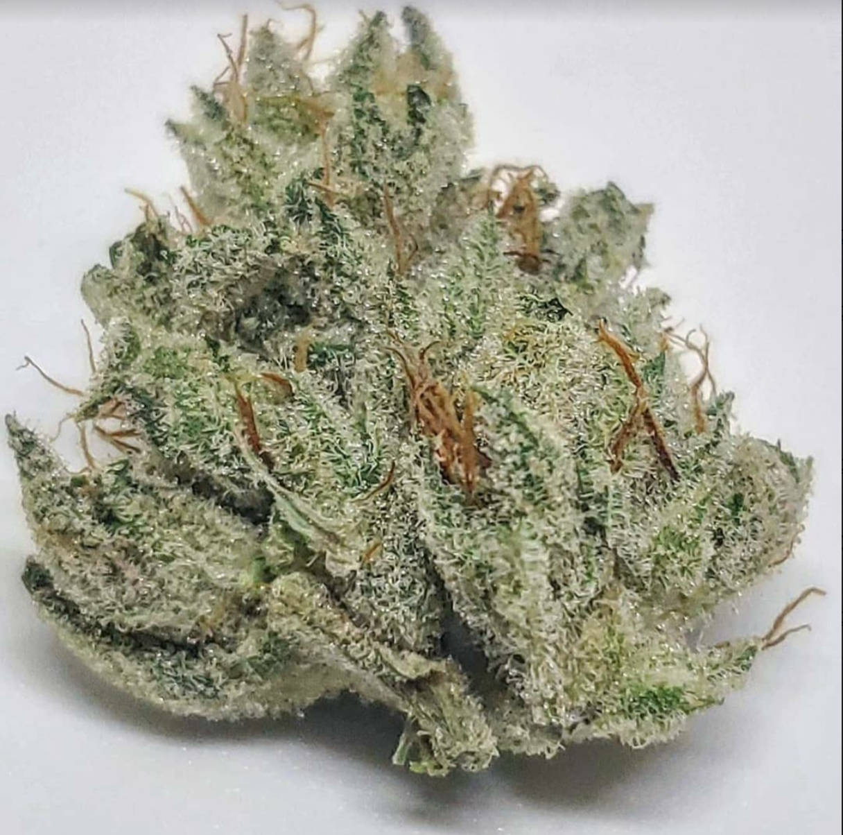 Photograph of product: GG #4 1/8 Prepack - 28g