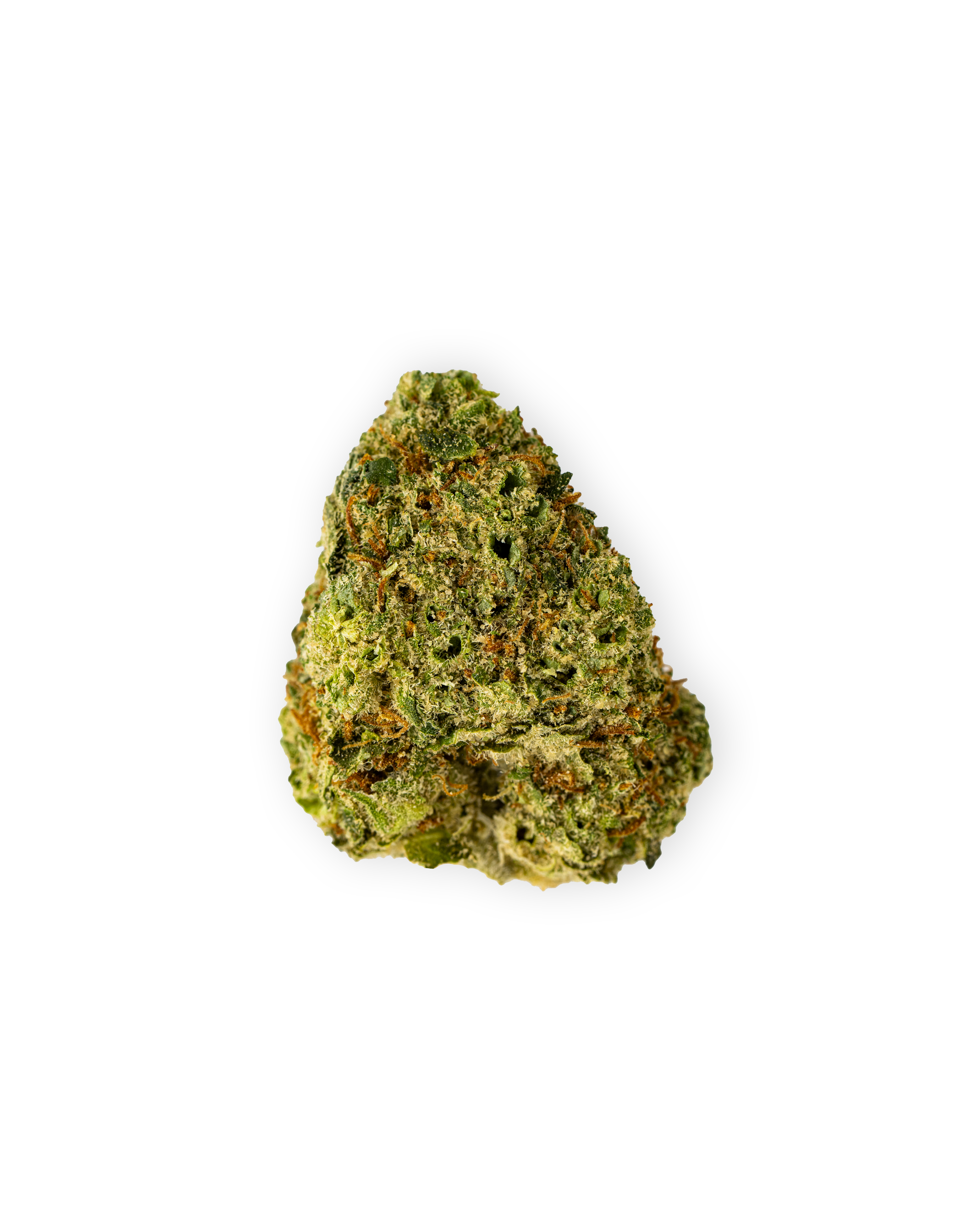 Photograph of product: Indoor JACK DIESEL | 14 g - 14g