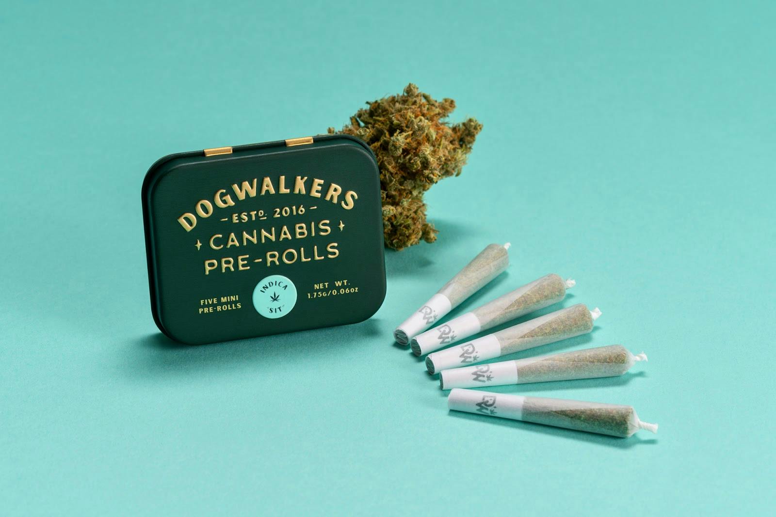 Photograph of product: DULCE DE UVA | 5PACK |1.75G