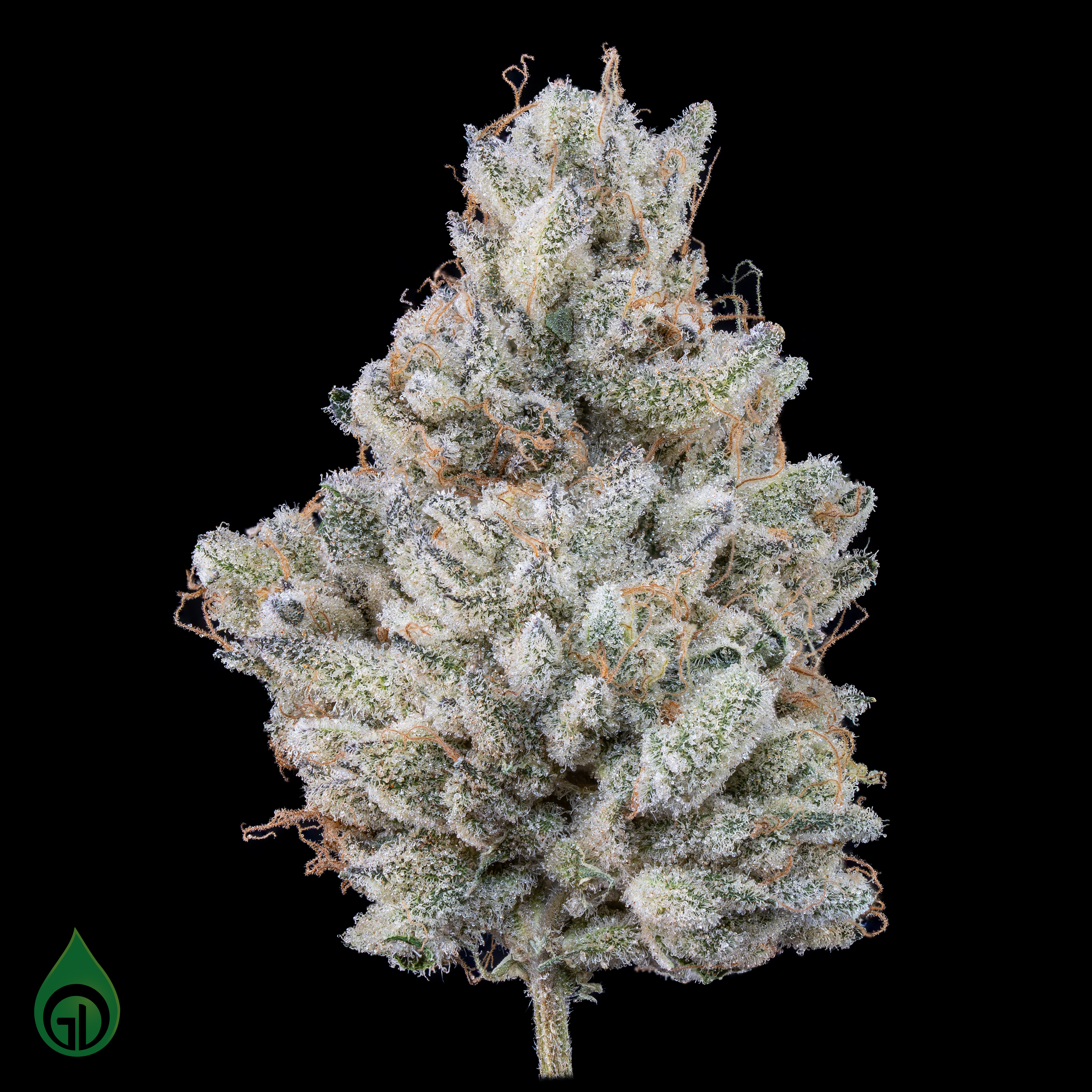 Photograph of product: Black Label Flower (3.5g) | Candy Cake