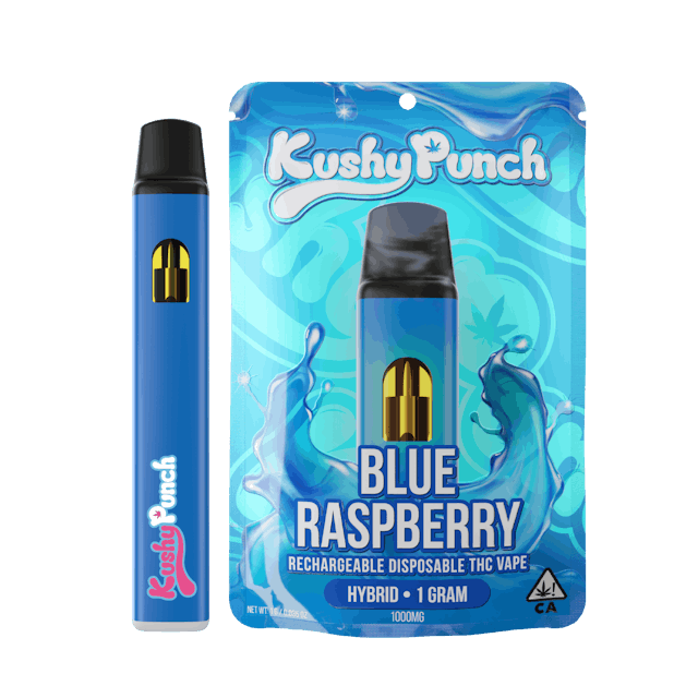 Photograph of product: Blue Raspberry | 1g Disposable - 