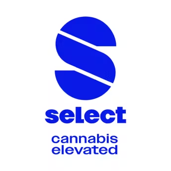 Photograph of product: Select - Tincture - 1:1 - Lemon Ginger - 30ml