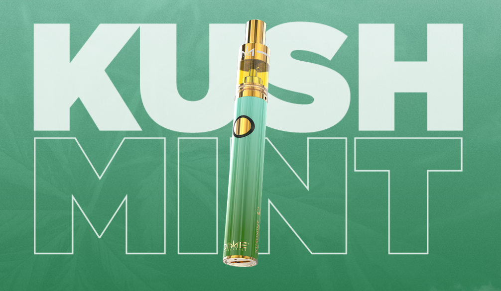 Photograph of product: DIME - LR Disposable - (I) Kush Mints - 1g