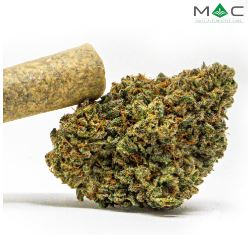 Photograph of product: Forbidden Spice Preroll (1g)