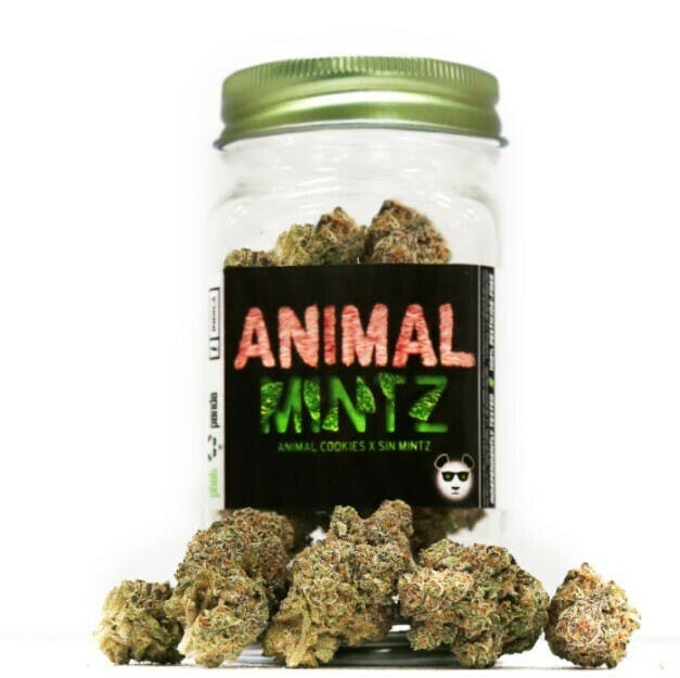 Photograph of product: Phat Panda: Animal Mintz 3.5g