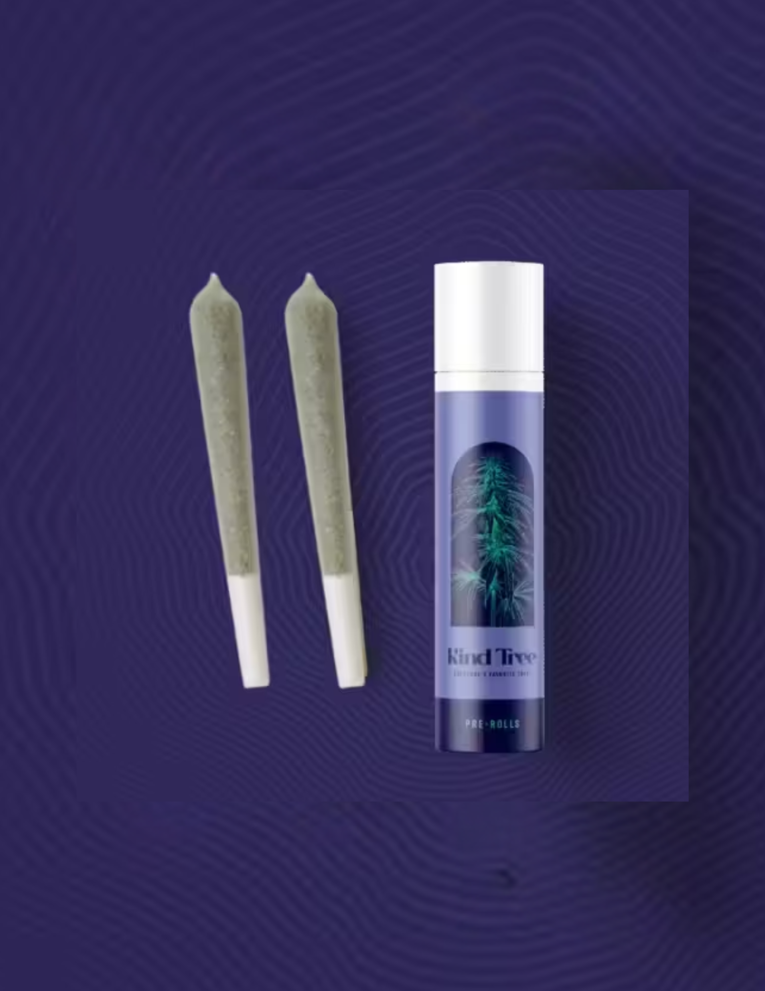 Photograph of product: KT - Mango Haze - 2 Pack Pre-roll