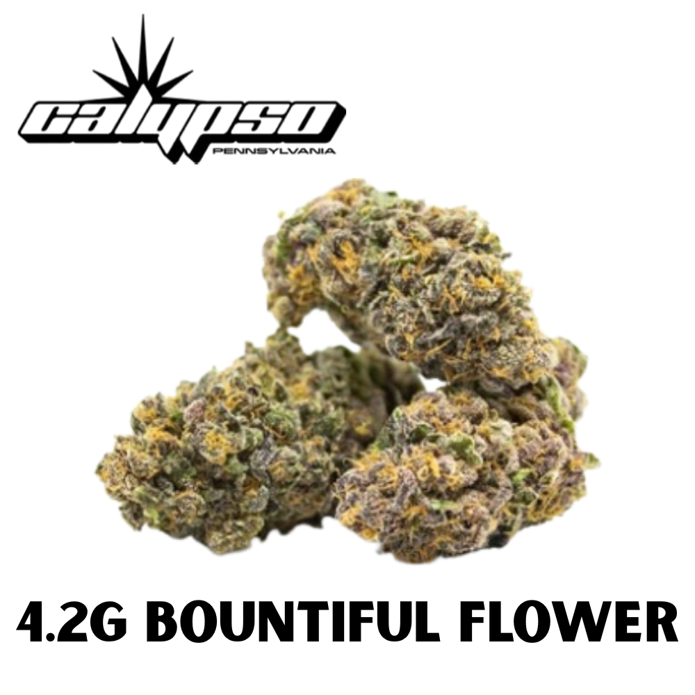 Photograph of product: Calypso Sunset 41 Flower 4.20g - 4.2g