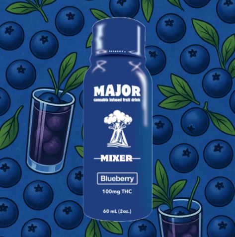 Photograph of product: Blueberry Fast Acting TH-oui Shot | 100mg