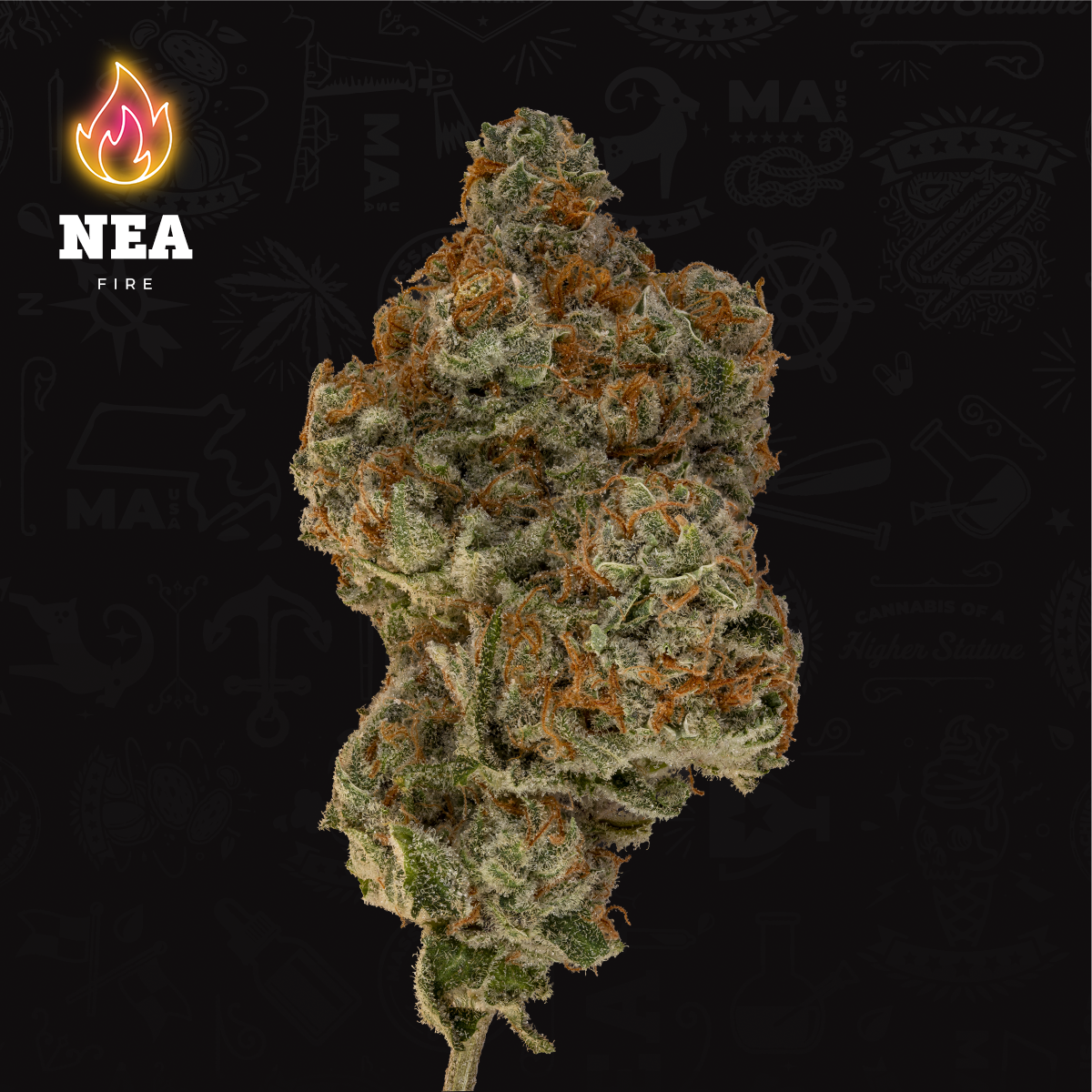 Photograph of product: Sour Tsunami 1:1 CBD:TH-oui | 3.5g