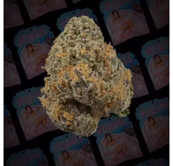 Photograph of product: Rkive | Sudz Pre-Pack Flower - 3.5g
