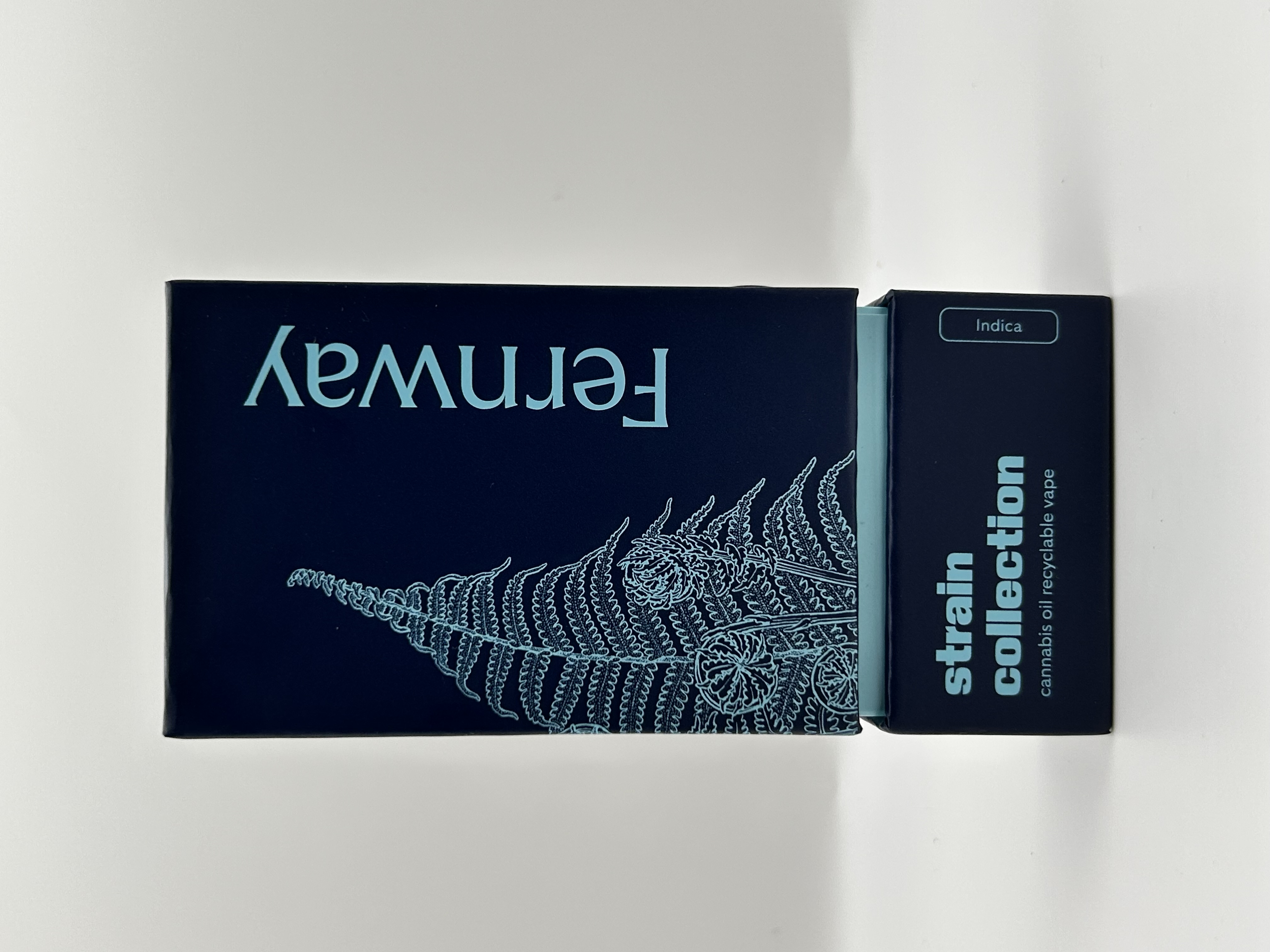 Photograph of product: Fernway | King Louie Traveler Vape