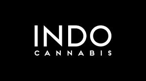 Photograph of product: Indopuff | Dutch Hawaiian Dispo | .9g