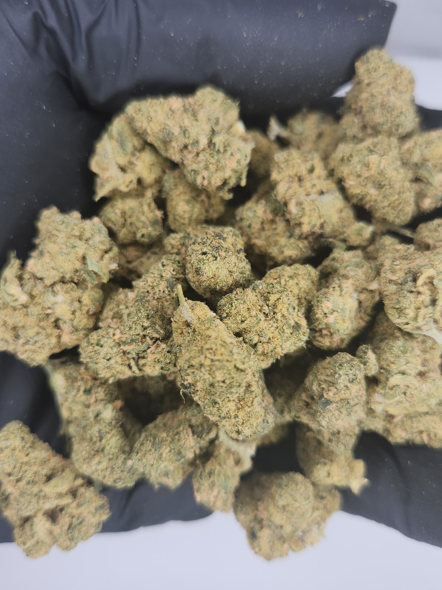 Photograph of product: Exclusive Brands | Bulk Bud - Lemon Cherry Gelato - 28g