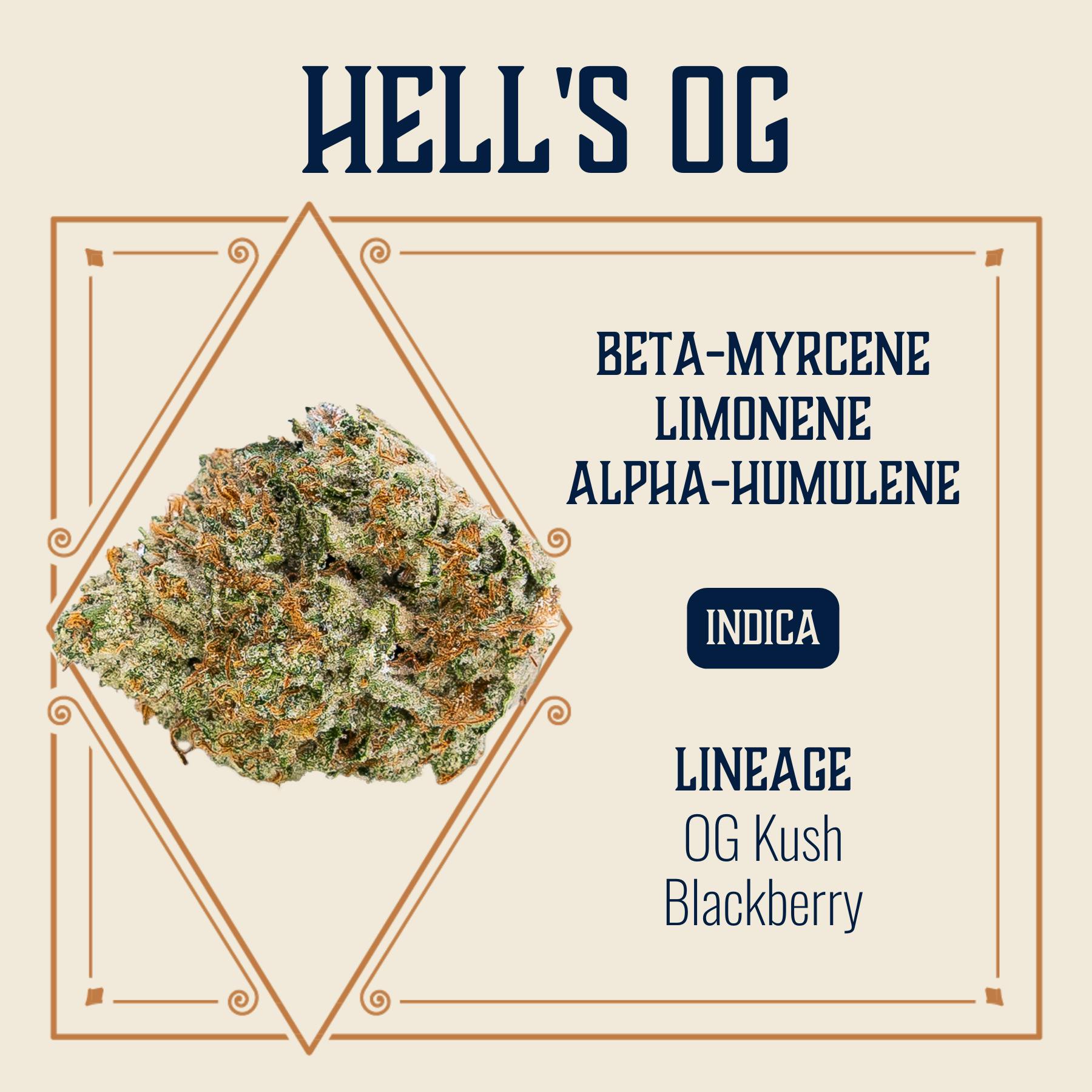 Photograph of product: 7g Budlets | Hell's OG
