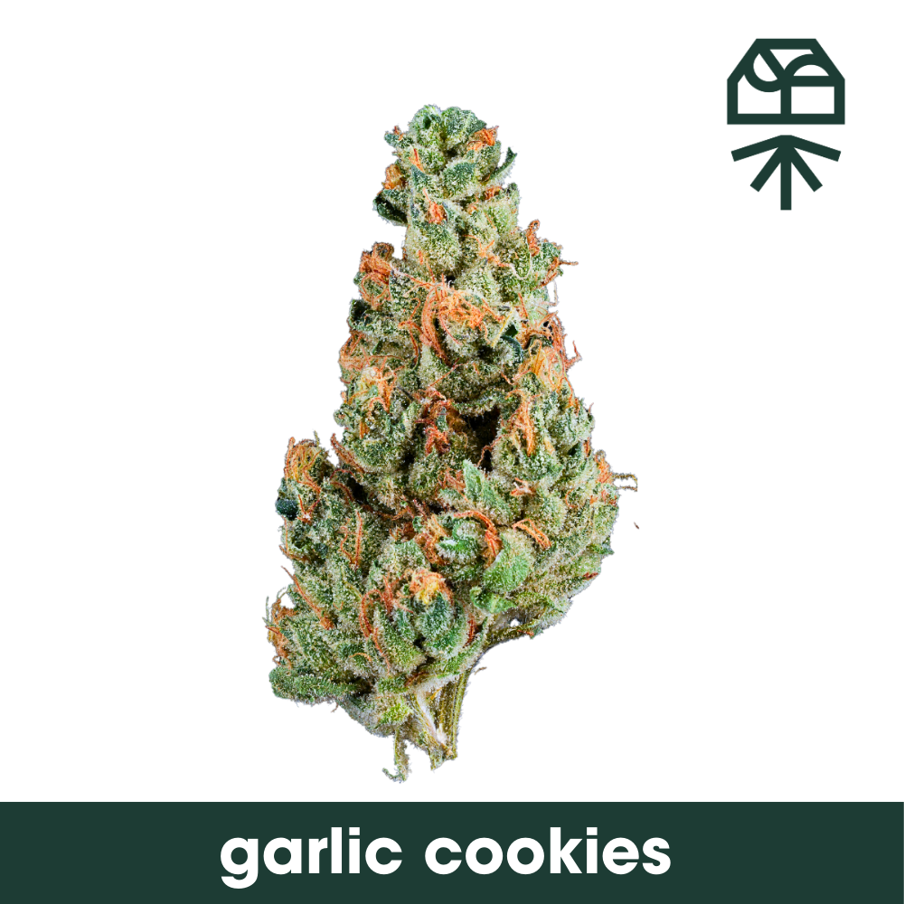 Photograph of product: Grassroots | Garlic Cookies - 7g