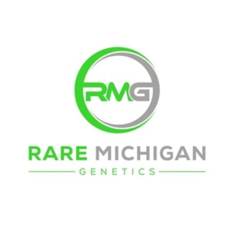 Photograph of product: Rare Michigan Genetics - Titty Sprinkles - Bulk