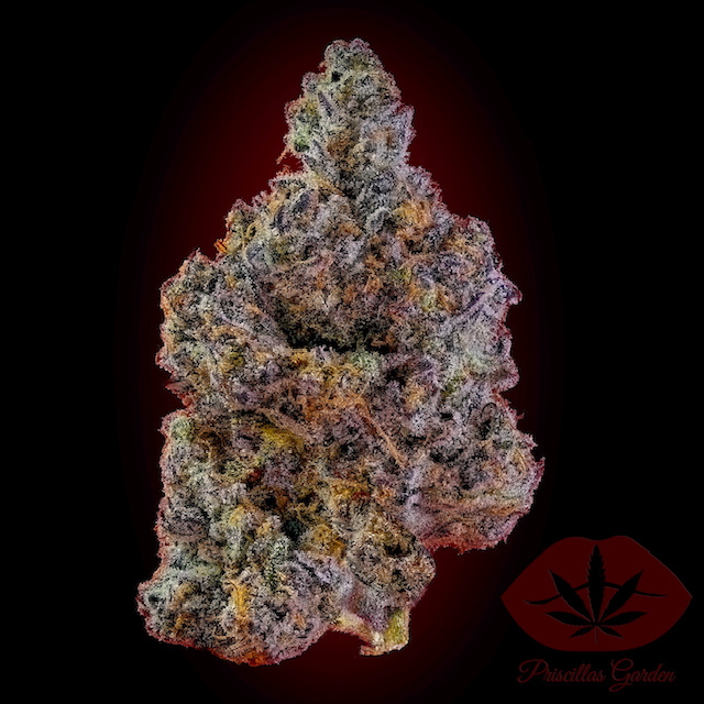 Photograph of product: Priscilla's Garden | Cherry Lemonade | 3.5g