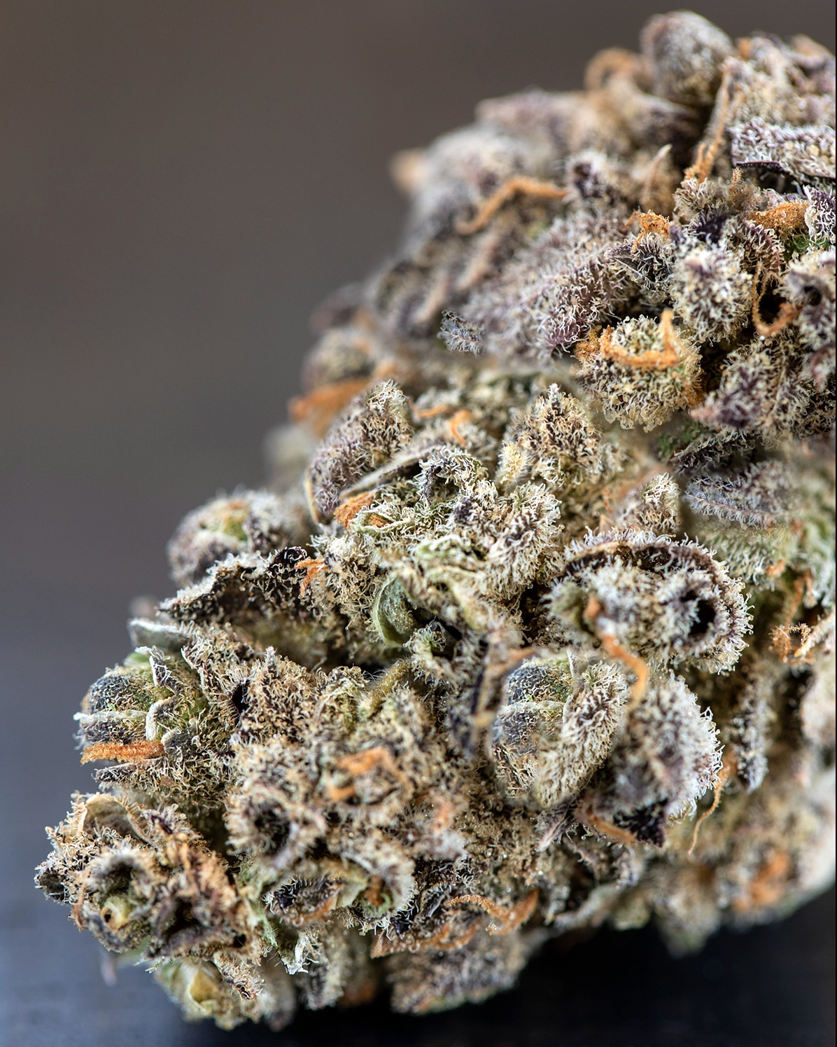 Photograph of product: Blue Dream Sour Jack - 14g