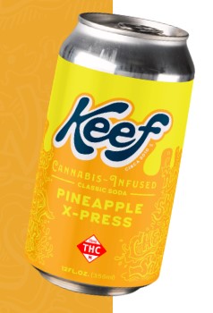 Photograph of product: Pineapple X-Press | 12oz