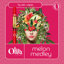 Photograph of product: Melon Medley (H) - (AIO)