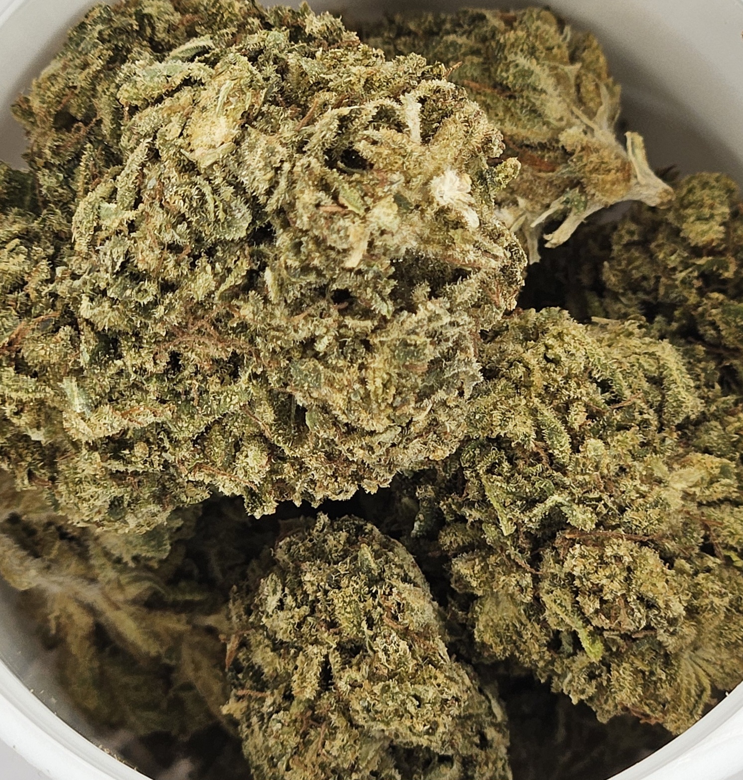 Photograph of product: Ridgeline Reserve - GG#4 Pre Packed - 14g