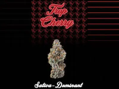 Photograph of product: Highmark Provisions | Trop Cherry | 3.5g