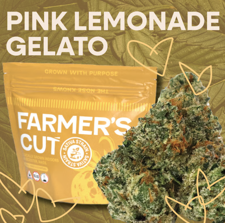 Photograph of product: Flower - Pink Lemonade Gelato - 3.5g