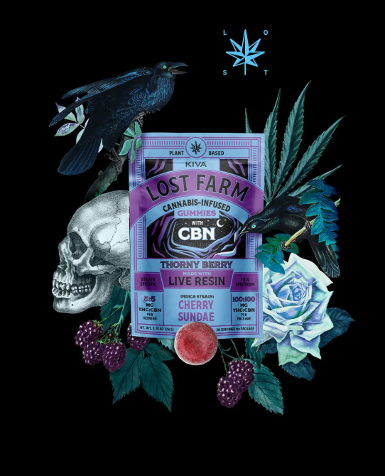 Photograph of product: Thorny Berry x Cherry Sundae 1:1 Live Resin Gummies  | 100mg - Lost Farm