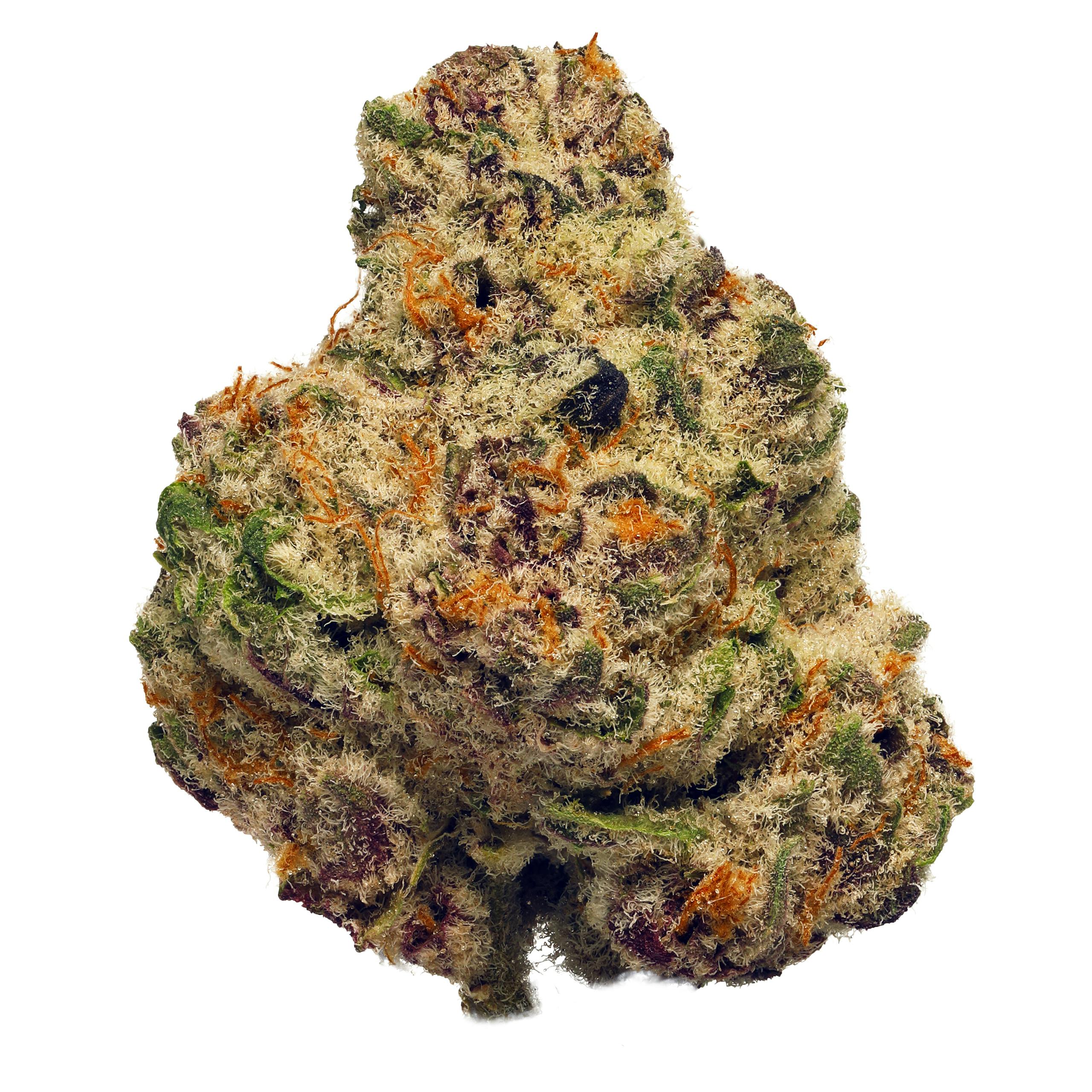Photograph of product: Deli Flower - Gold - (PUNC) Purple Punch