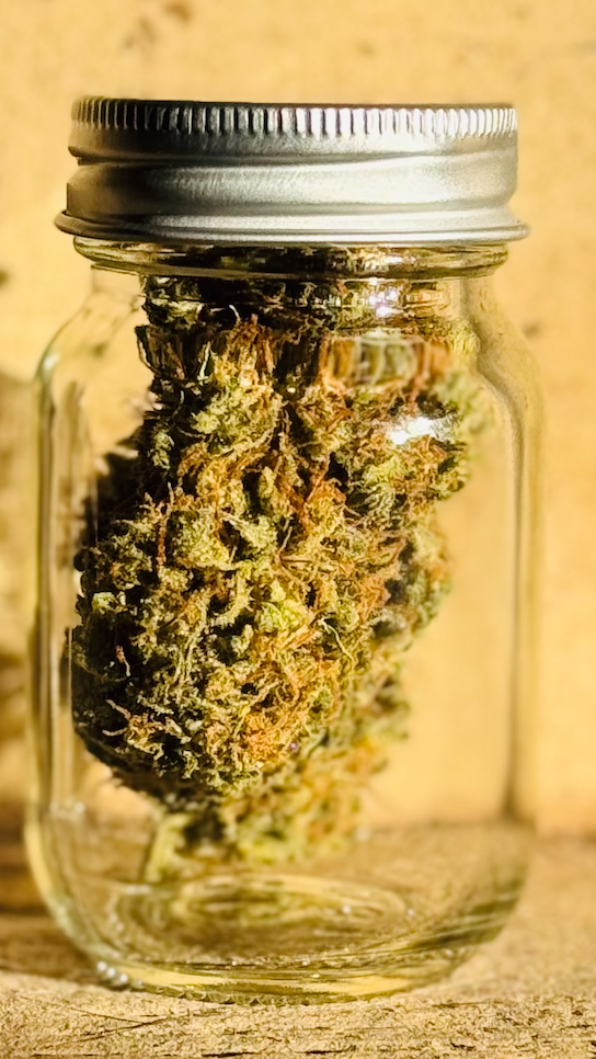 Photograph of product: Jack Herer - 3.5g - Pudding Hill Farm