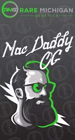 Photograph of product: Mac Daddy OG | Rare Michigan Genetics | Pre-roll