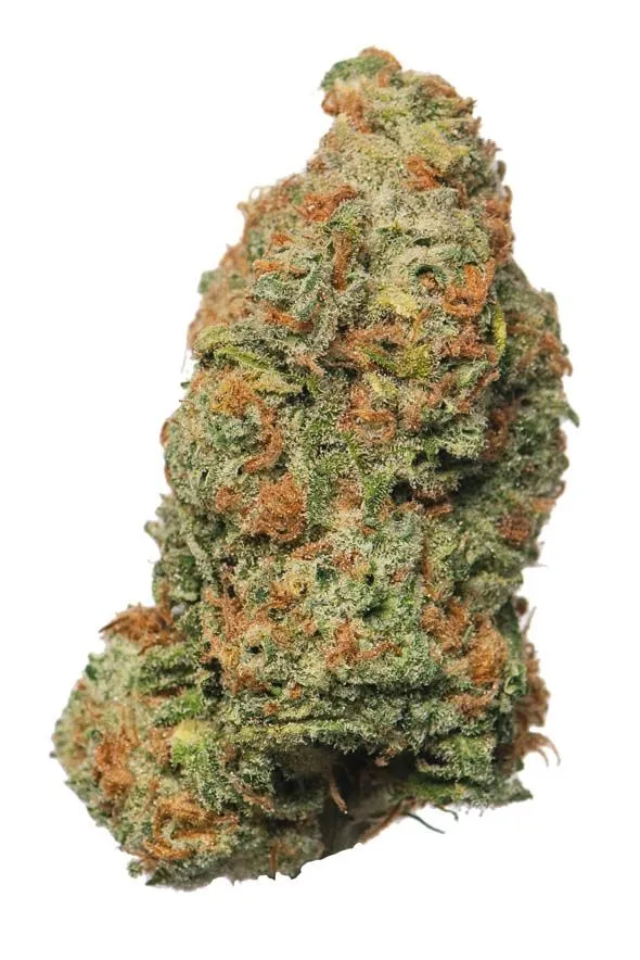 Photograph of product: Papaya | 3.5G