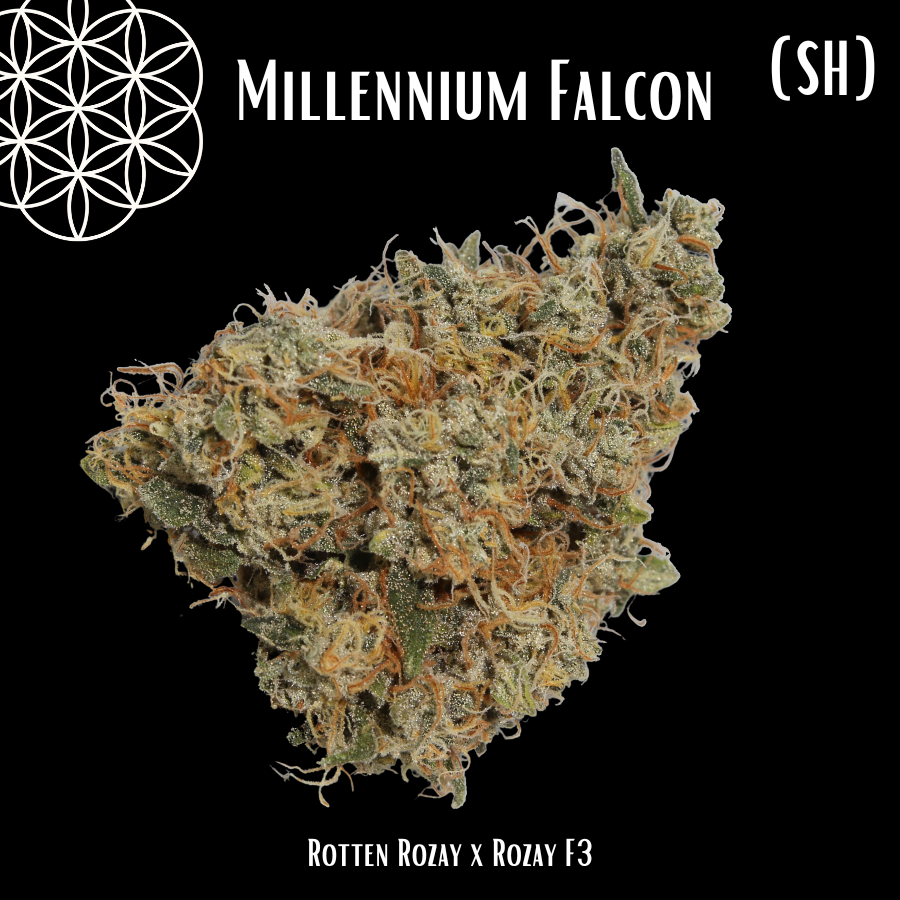 Photograph of product: Flower of Life | Zour Runtz  | Organic Bulk Flower - 28g