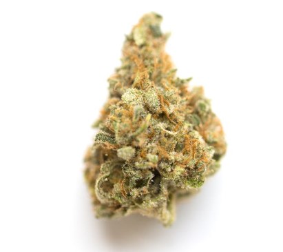 Photograph of product: Sloppy Topper Popcorn Flower - 3.5g