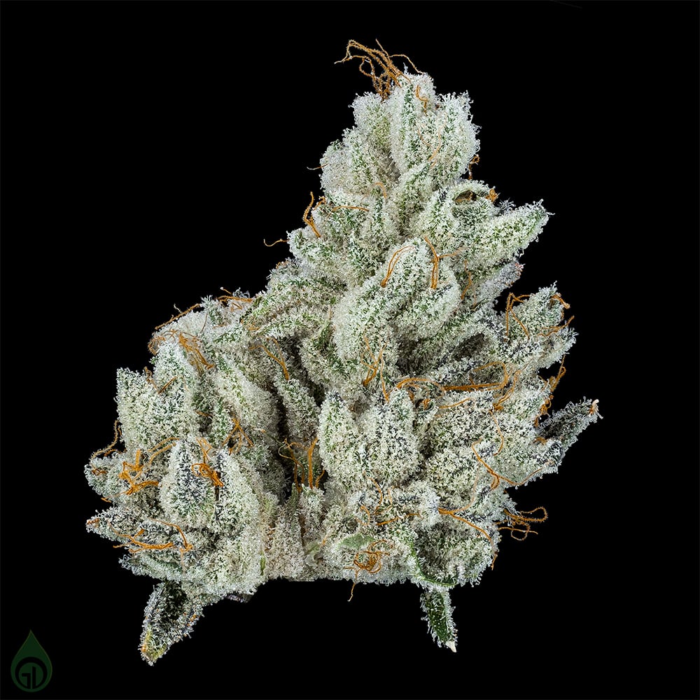 Photograph of product: Green Dot | Black - Jar Flower - 5150 TK - 3.5g