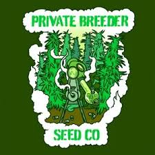 Photograph of product: Private Breeder Seed Co. | Squirrel Monkey | 12pk Hemp Seeds
