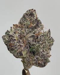 Photograph of product: King Cherry | Craft Hydroponic | Bulk Flower