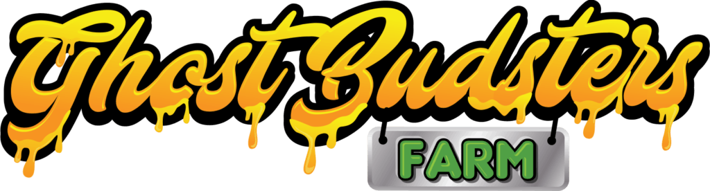 Photograph of product: HALLE BERRY