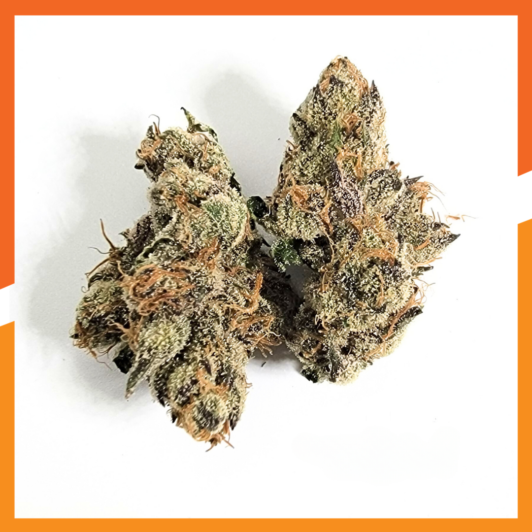 Photograph of product: Britney's Frozen Lemons #5 | Flower | Elevate - 3.5g