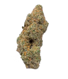 Photograph of product: Jelly Beltz | Pro Gro - 28g