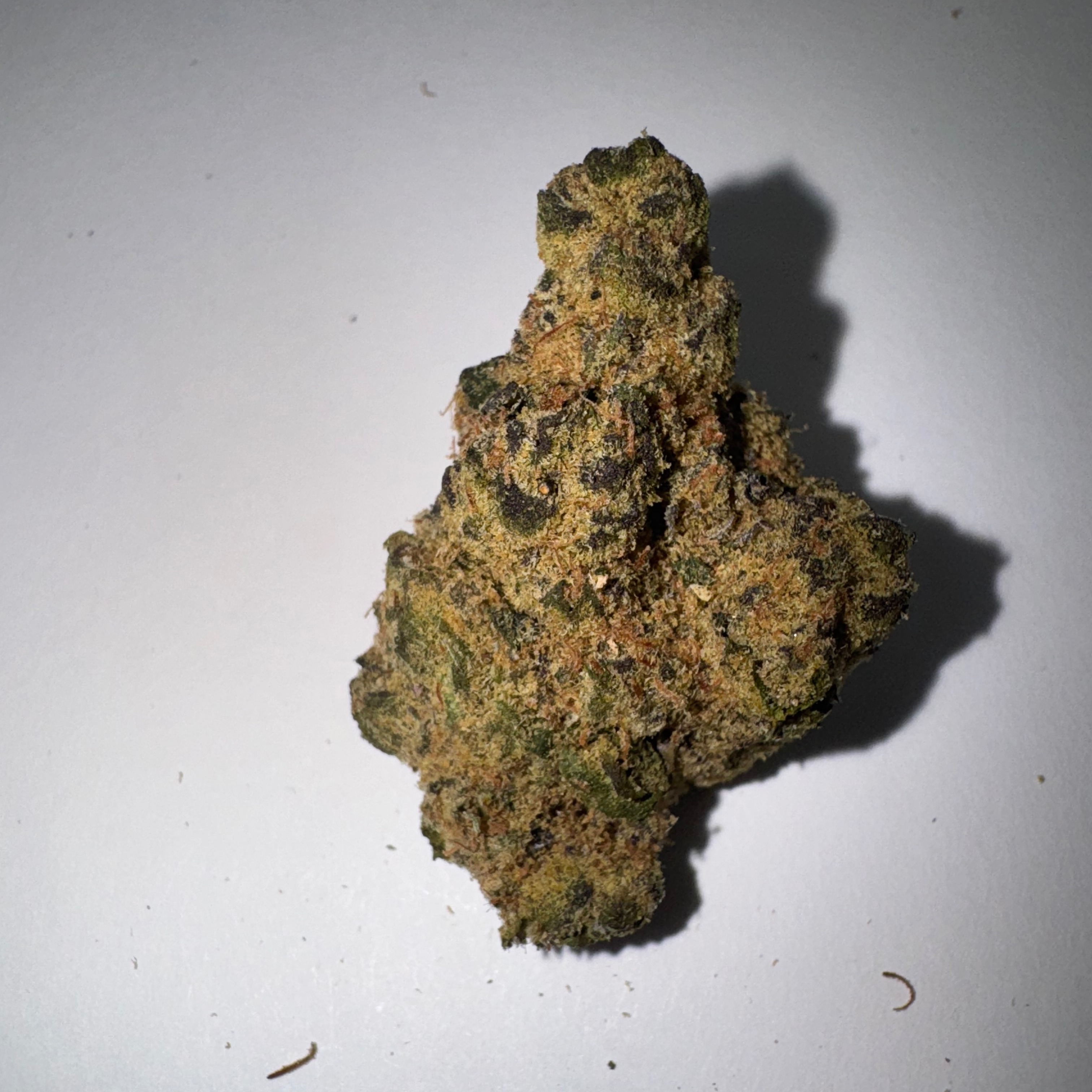 Photograph of product: Pirates Milk (Sun Land )27.4% H 0144