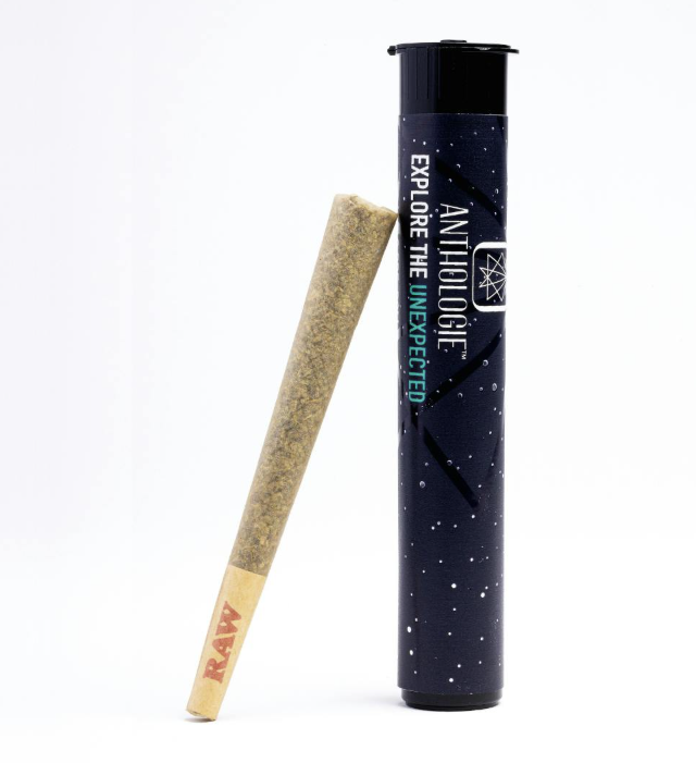 Photograph of product: Anthologie Purple Milk 1g Preroll