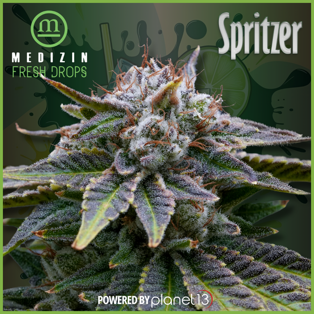 Photograph of product: Medizin FRESH DROP Spritzer 3.5g Prepack